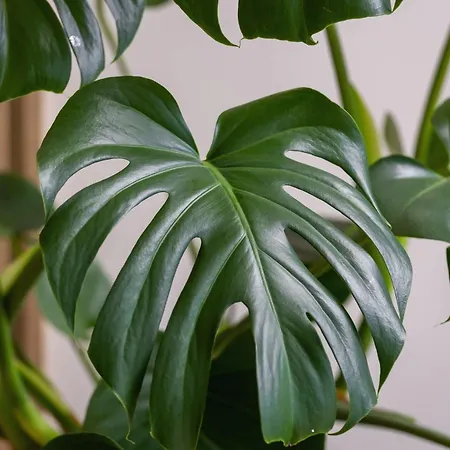 アパート Bright In With Air Conditioning & Parking By Renters *