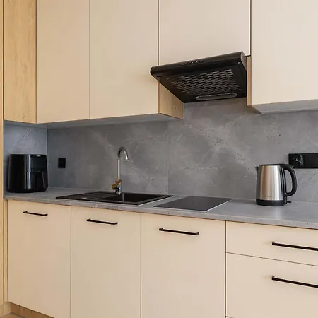 Bright In With Air Conditioning & Parking By Renters アパート カトヴィツェ