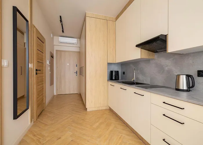 Bright In With Air Conditioning & Parking By Renters Apartament *