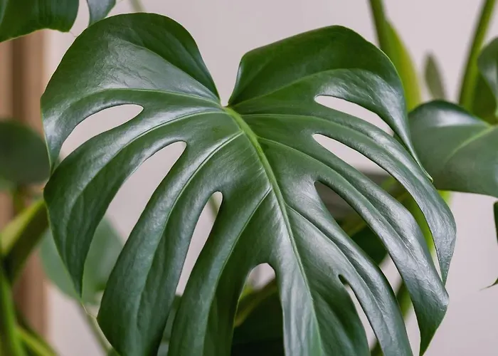 Apartament Bright In With Air Conditioning & Parking By Renters *