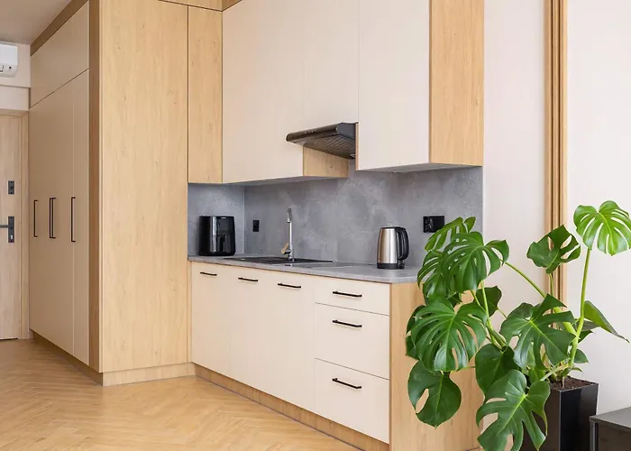 Apartament Bright In With Air Conditioning & Parking By Renters *